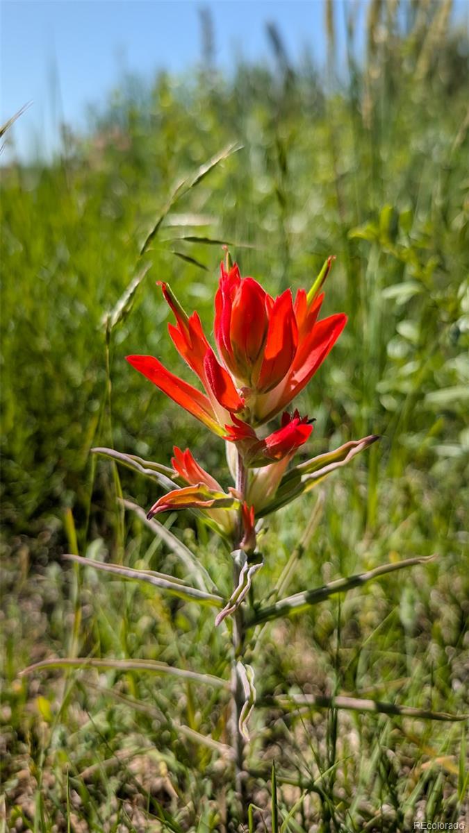 Parcel C W County Road 105