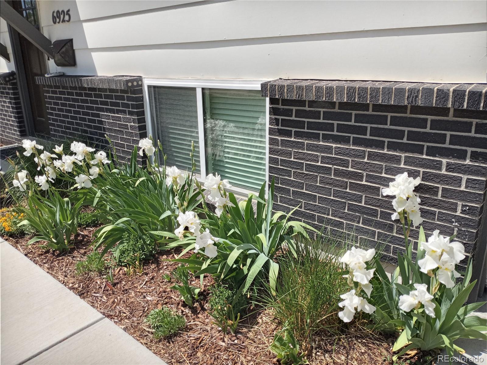 6925 S Dexter Street