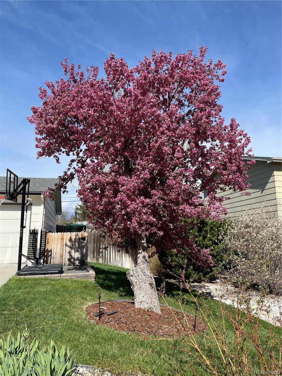 6925 S Dexter Street