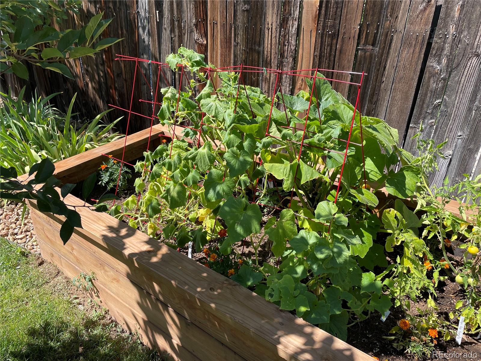 6925 S Dexter Street