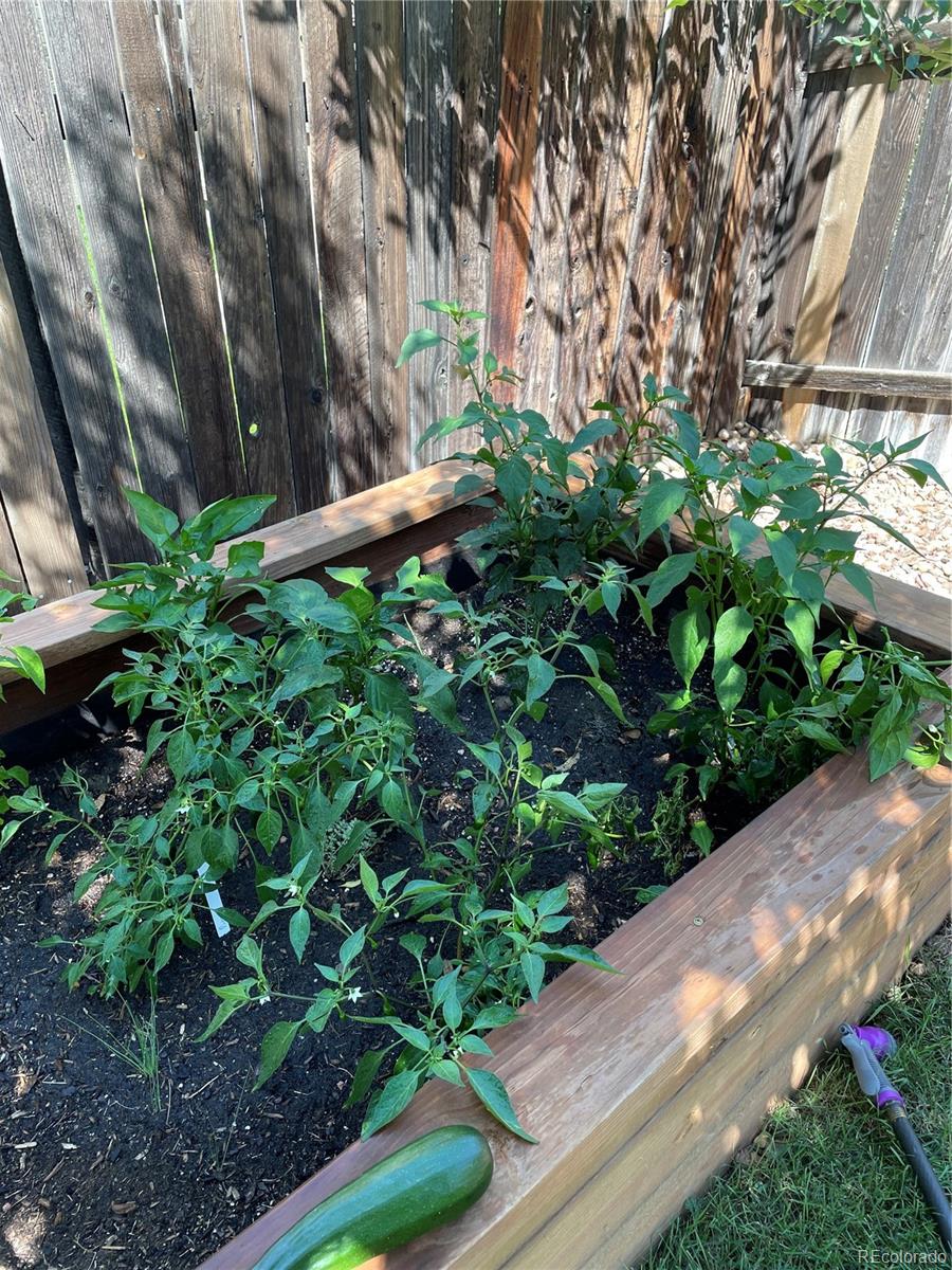 6925 S Dexter Street