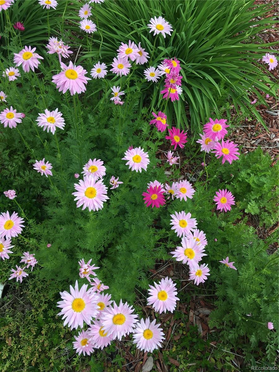 1065 E Nichols Avenue