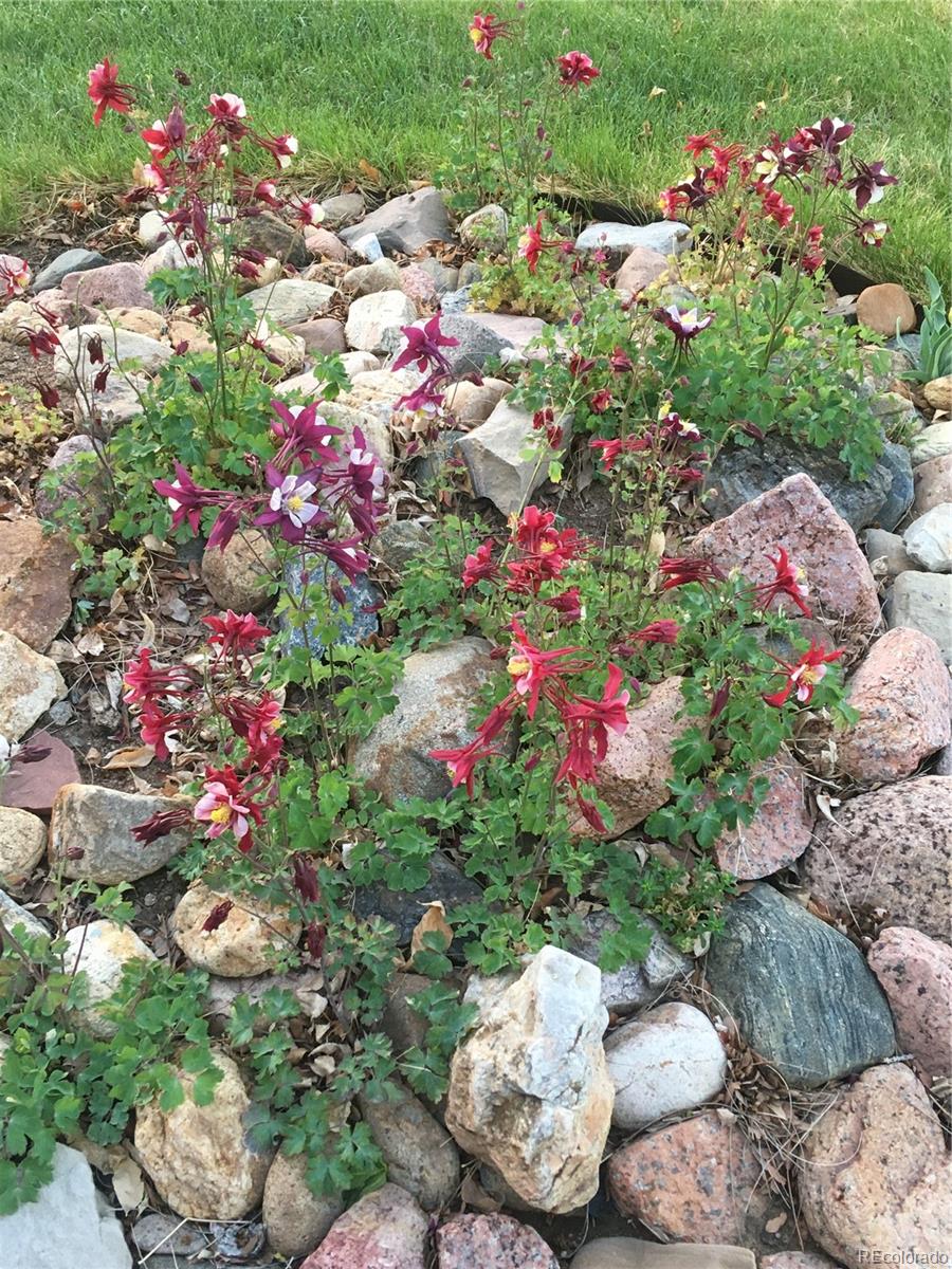 1065 E Nichols Avenue