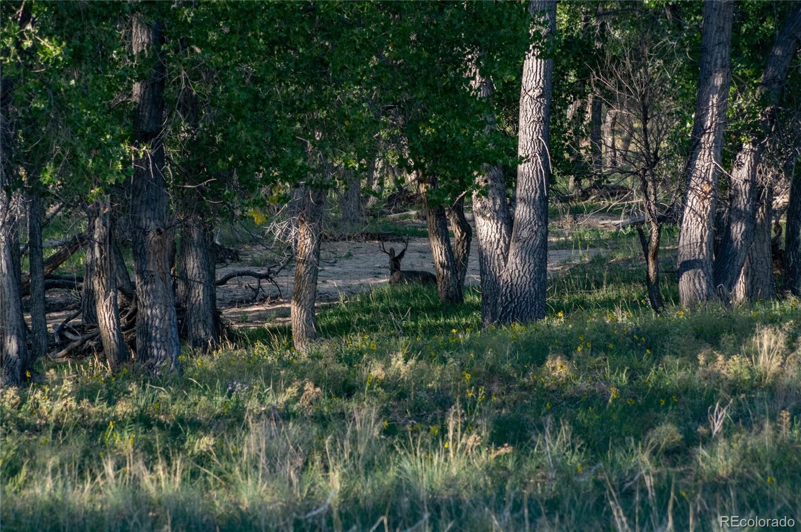 Parcel B W County Road 105