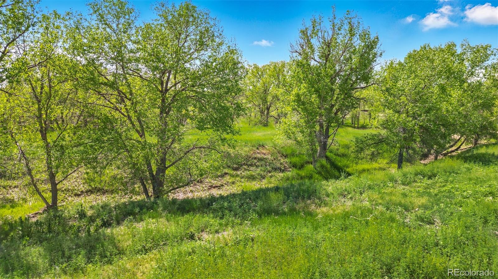 Parcel B W County Road 105