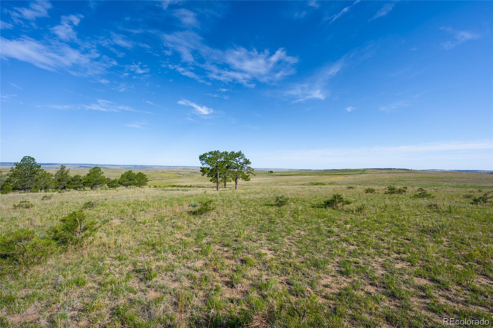 0041 W County Road 89