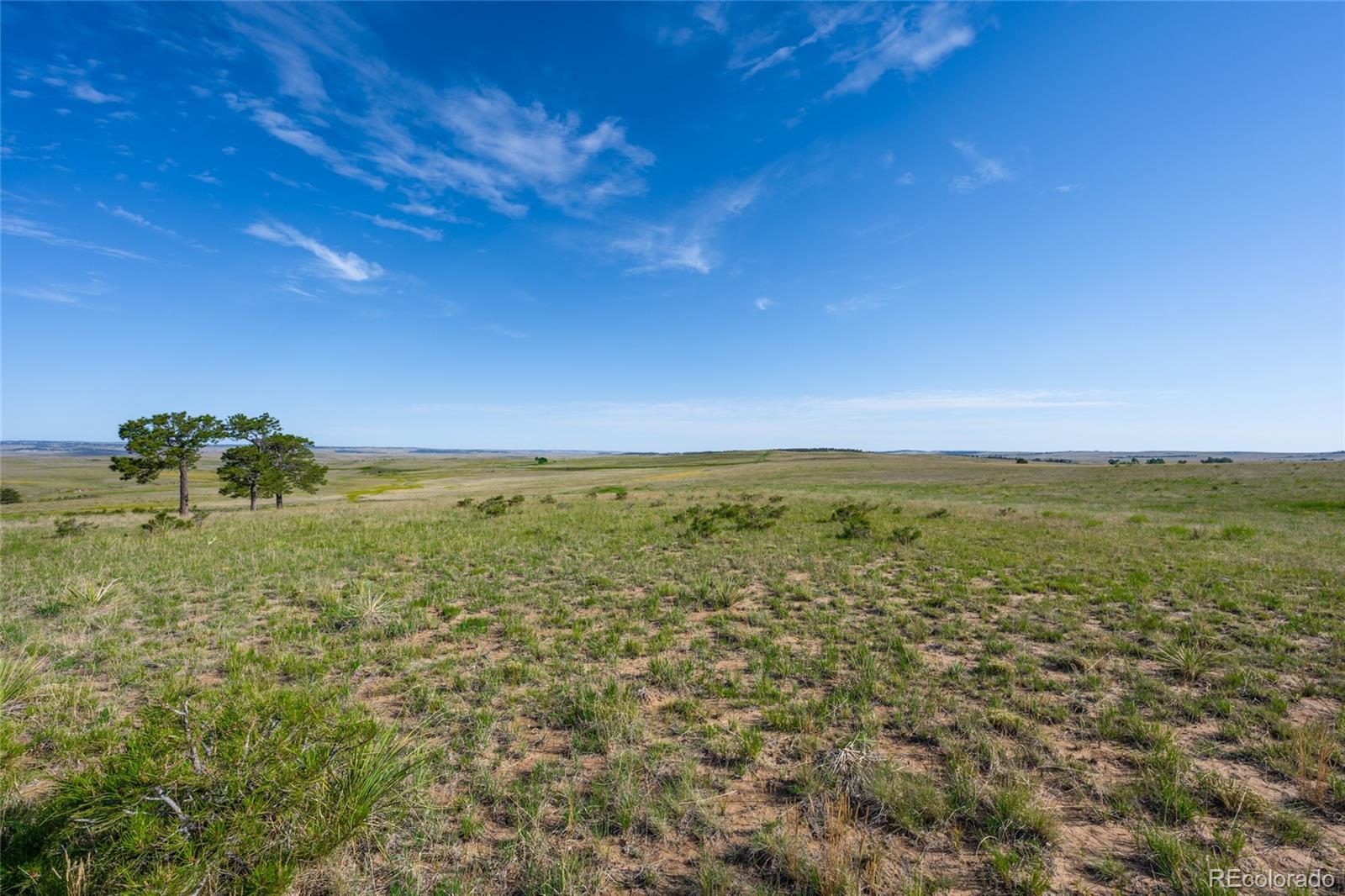 0041 W County Road 89