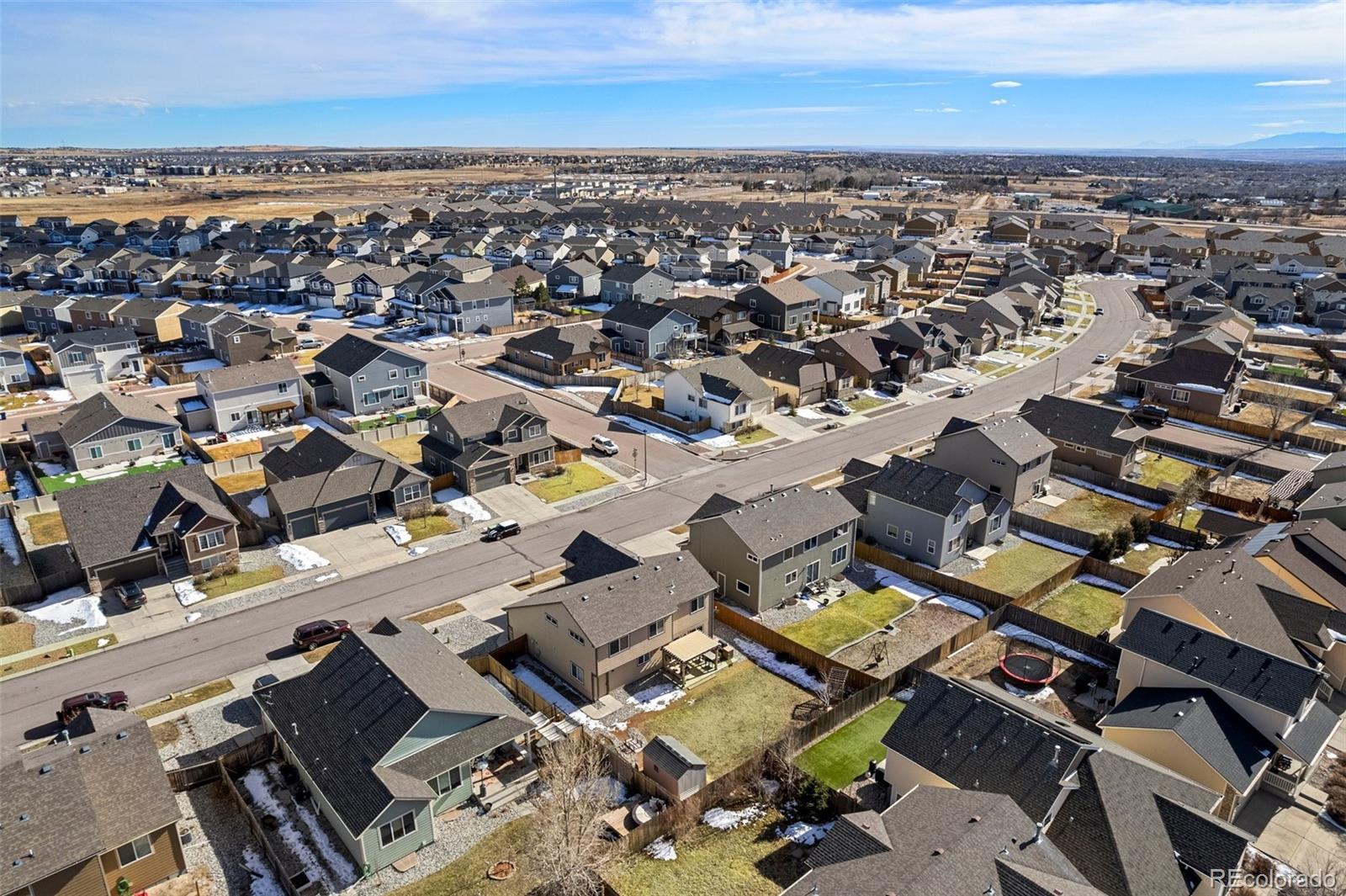 6853 Red Cardinal Loop