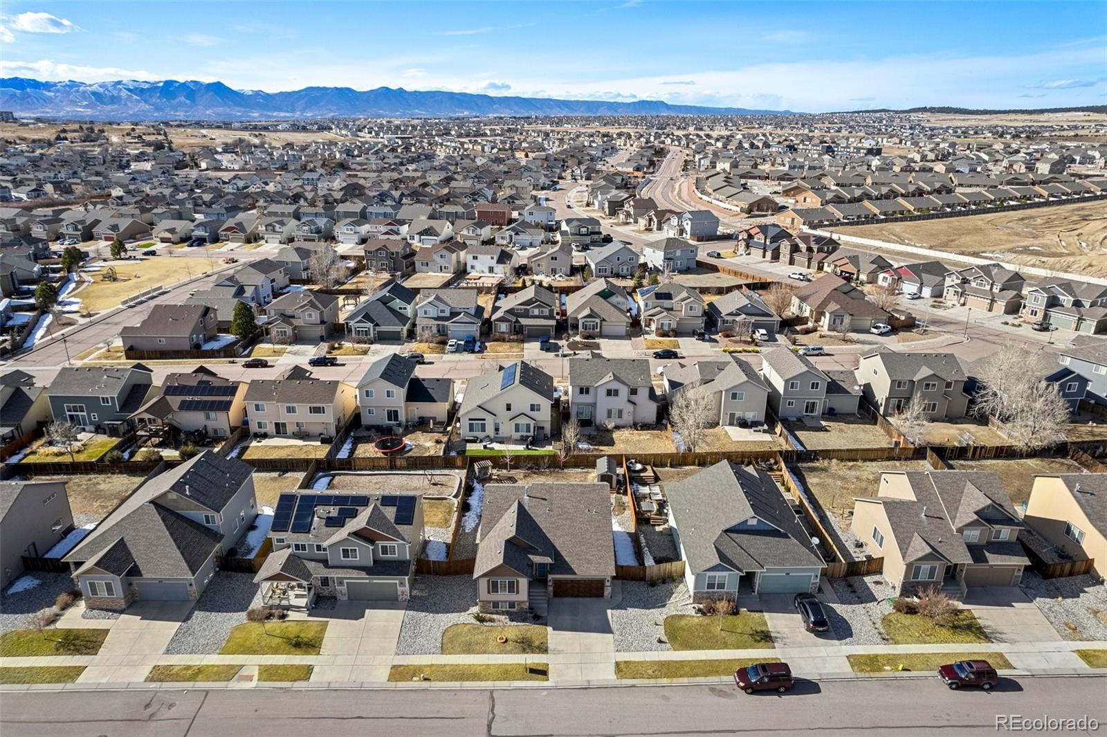 6853 Red Cardinal Loop