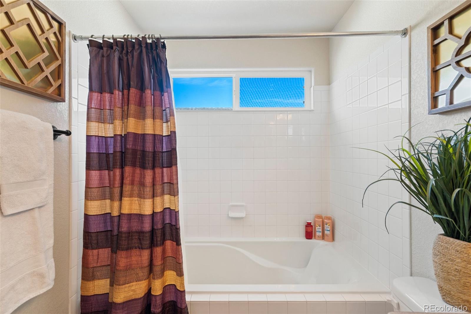 6853 Red Cardinal Loop