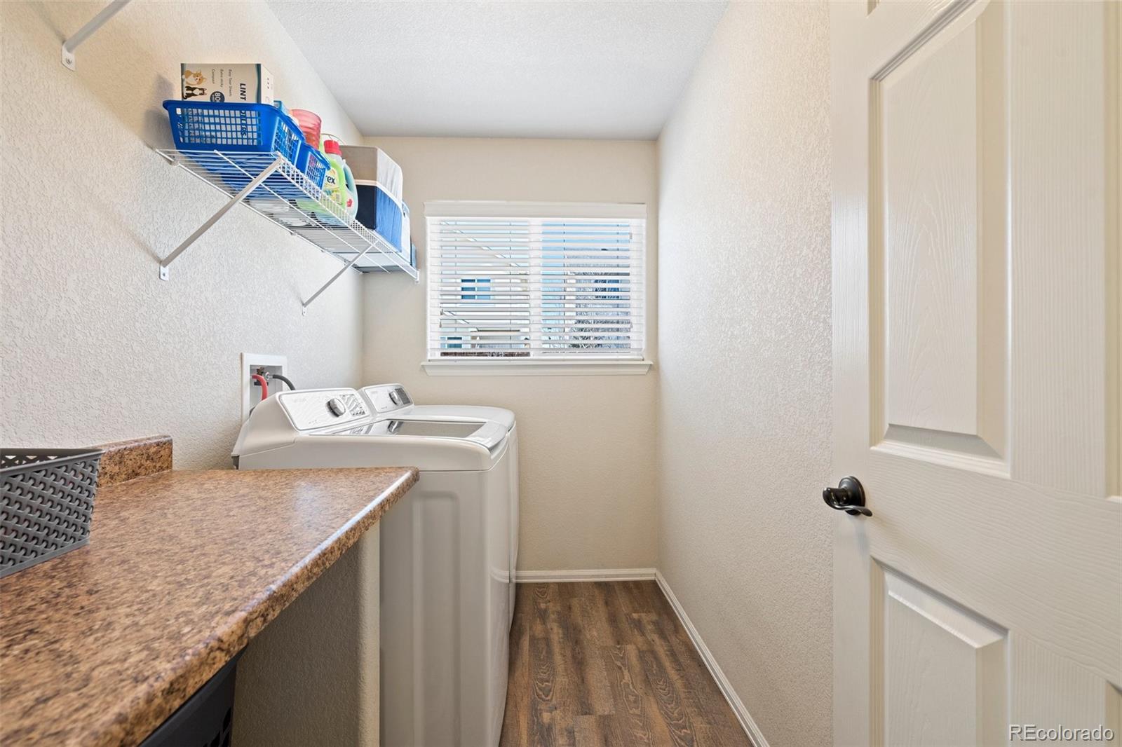 6853 Red Cardinal Loop