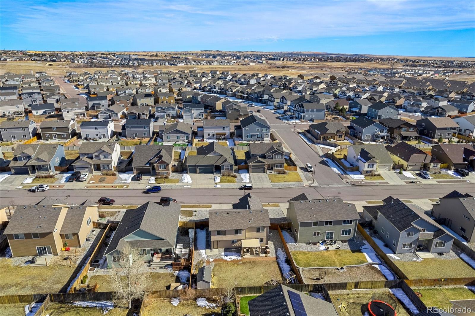 6853 Red Cardinal Loop