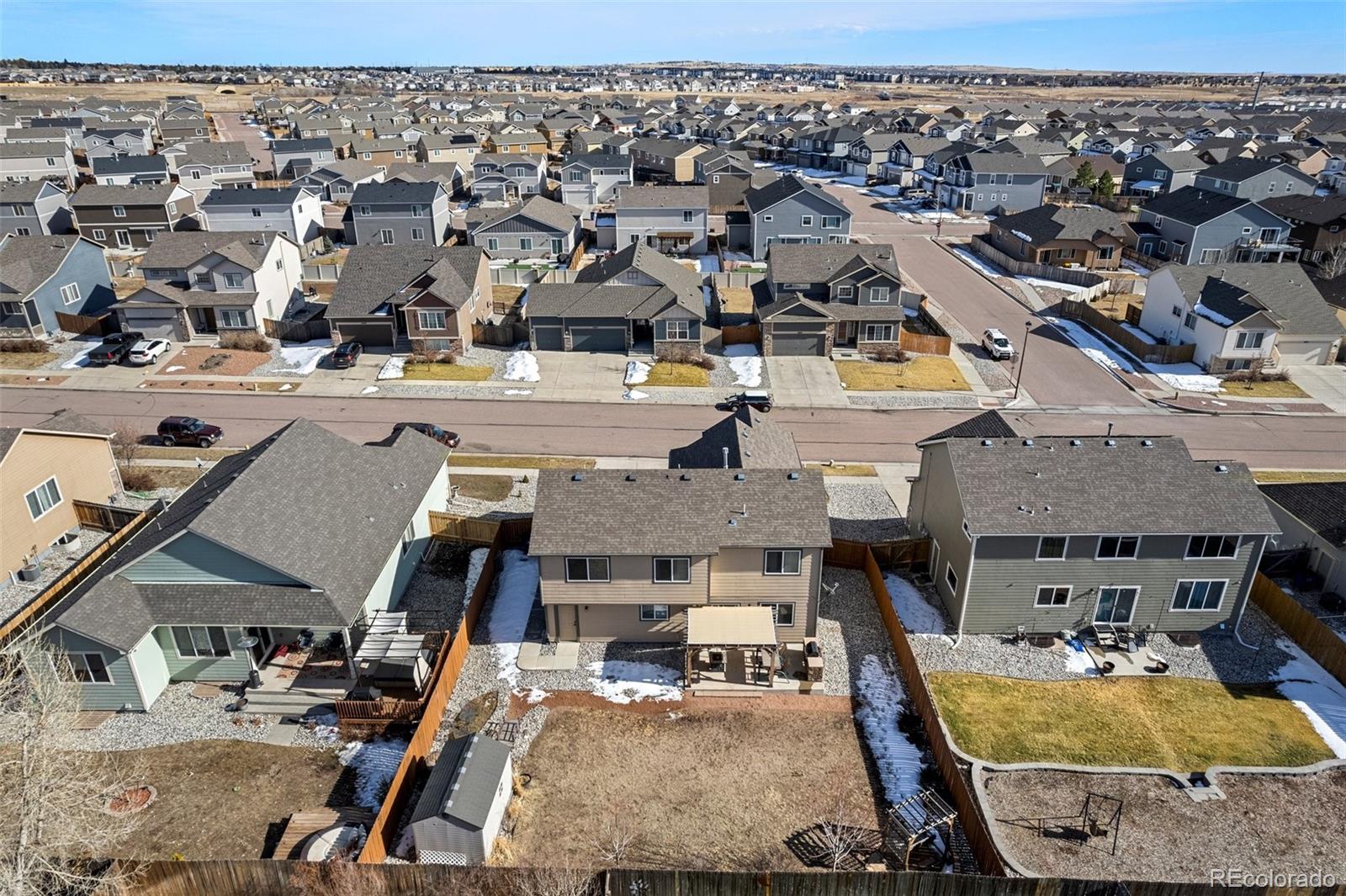 6853 Red Cardinal Loop