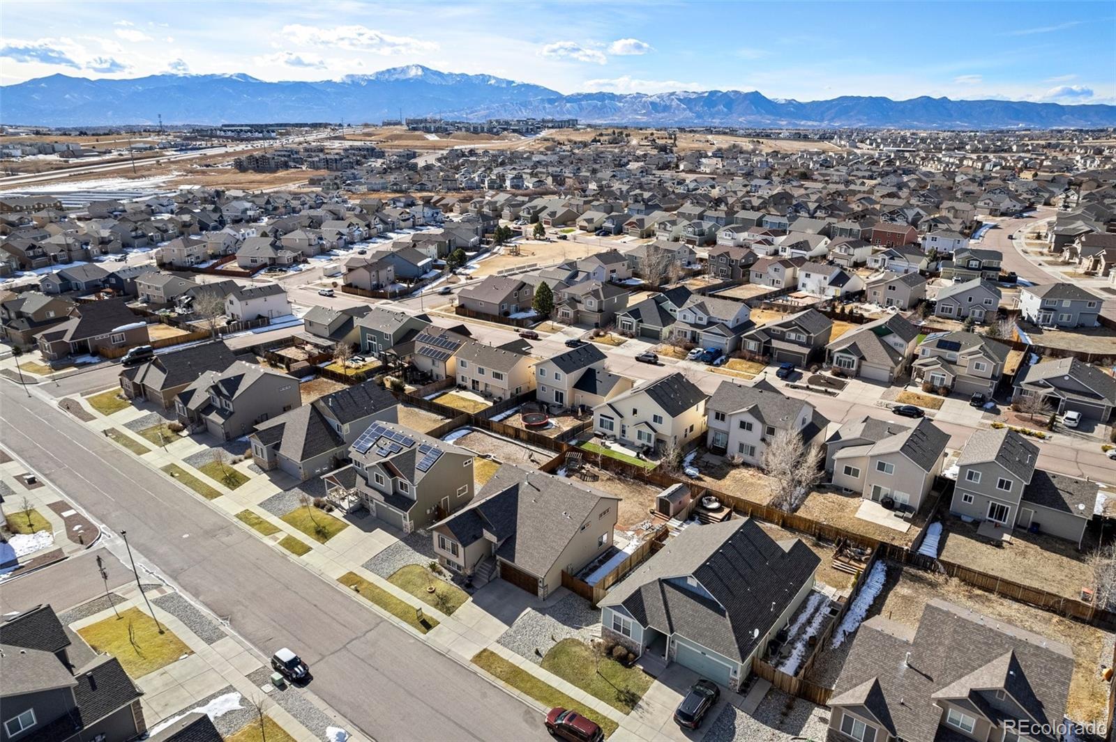 6853 Red Cardinal Loop