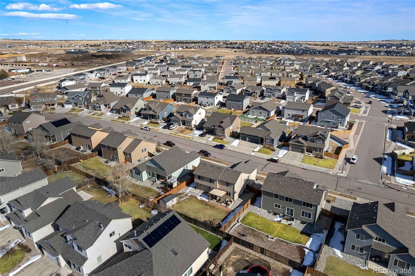 6853 Red Cardinal Loop