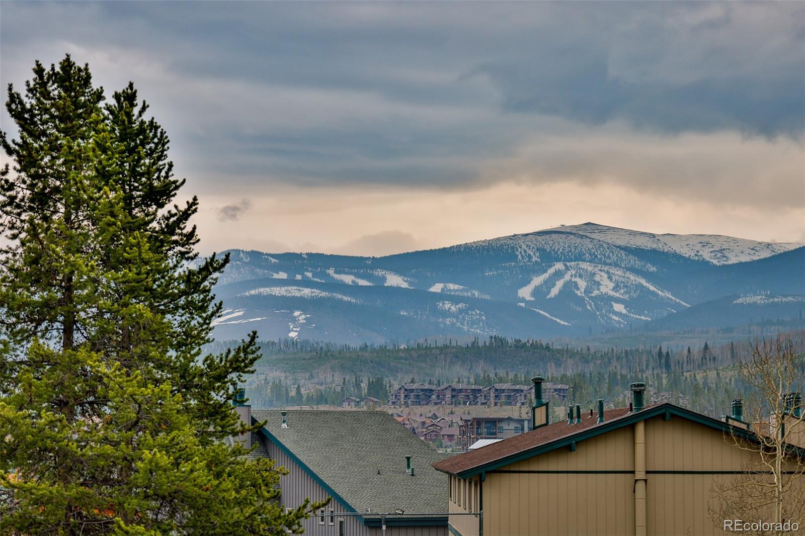 289 County Road 804 Unit: C103