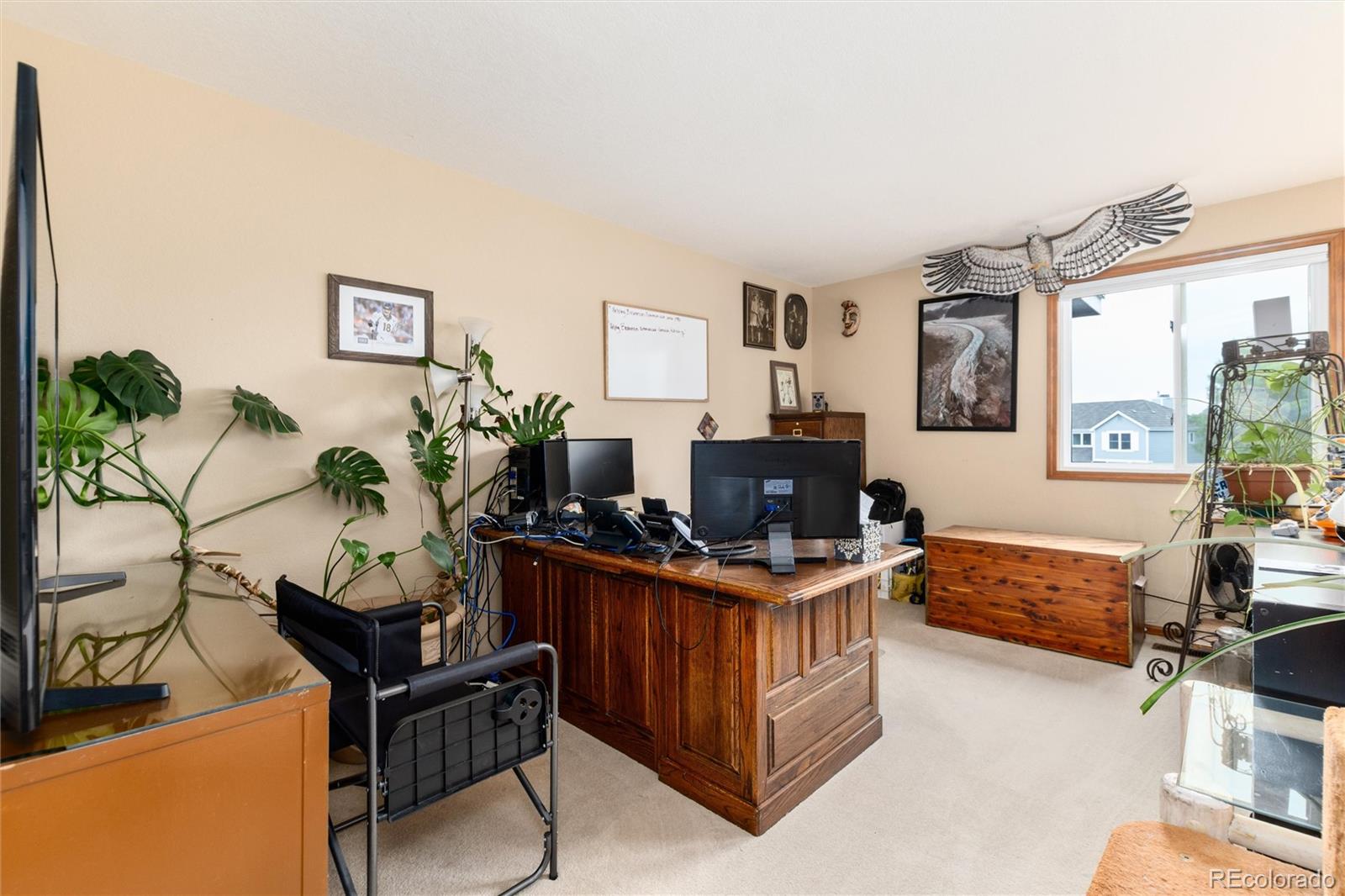 10012 Saddlehorn Lane