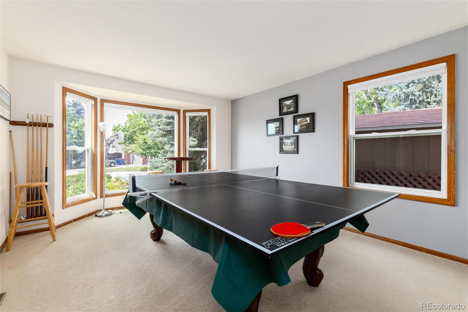 10012 Saddlehorn Lane