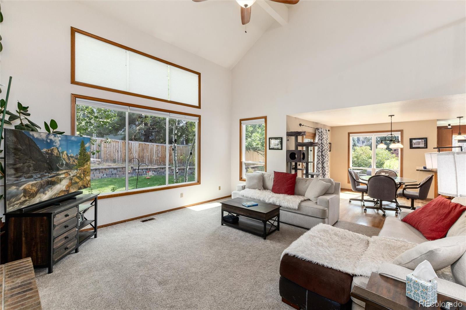 10012 Saddlehorn Lane