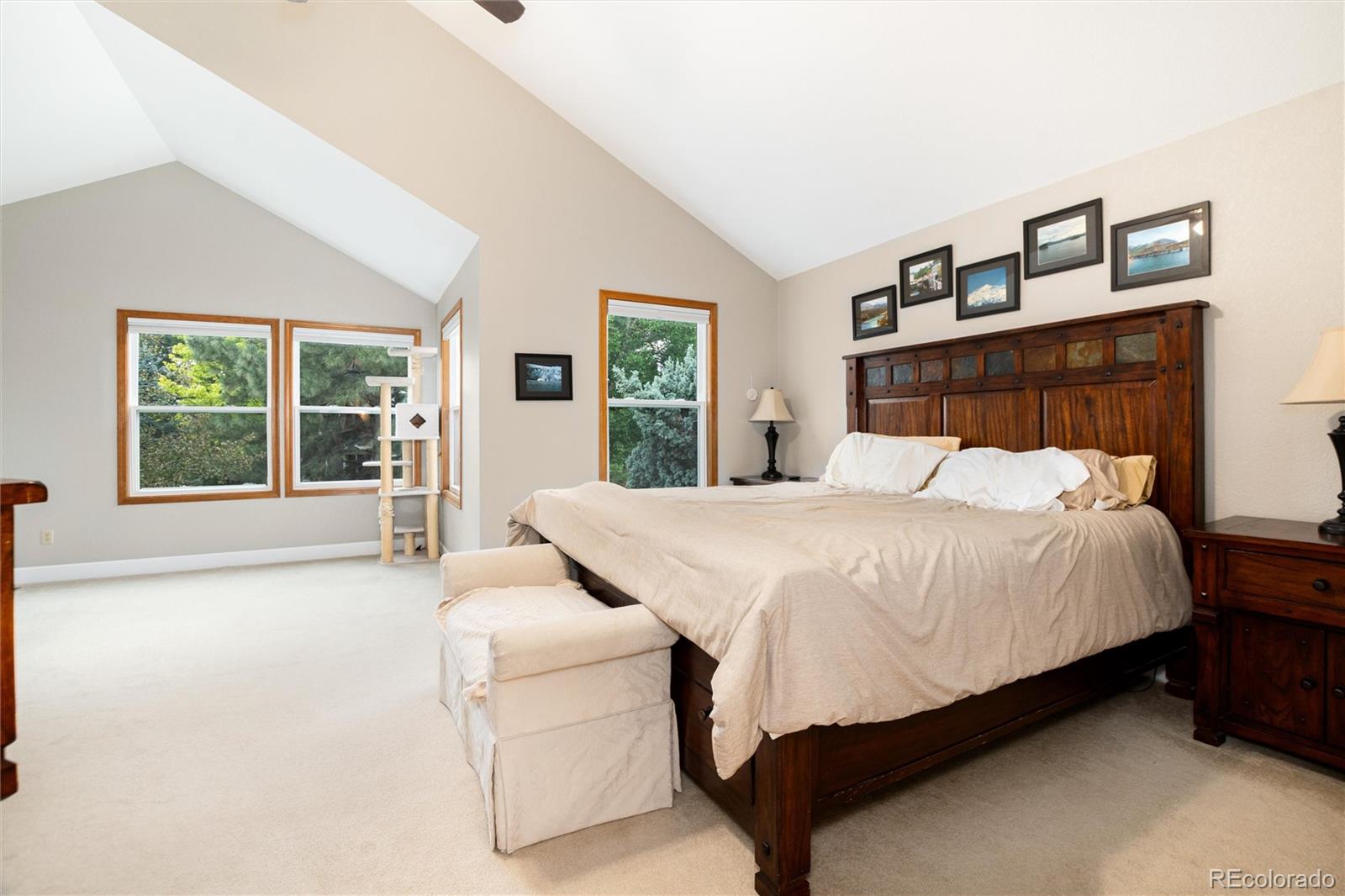 10012 Saddlehorn Lane