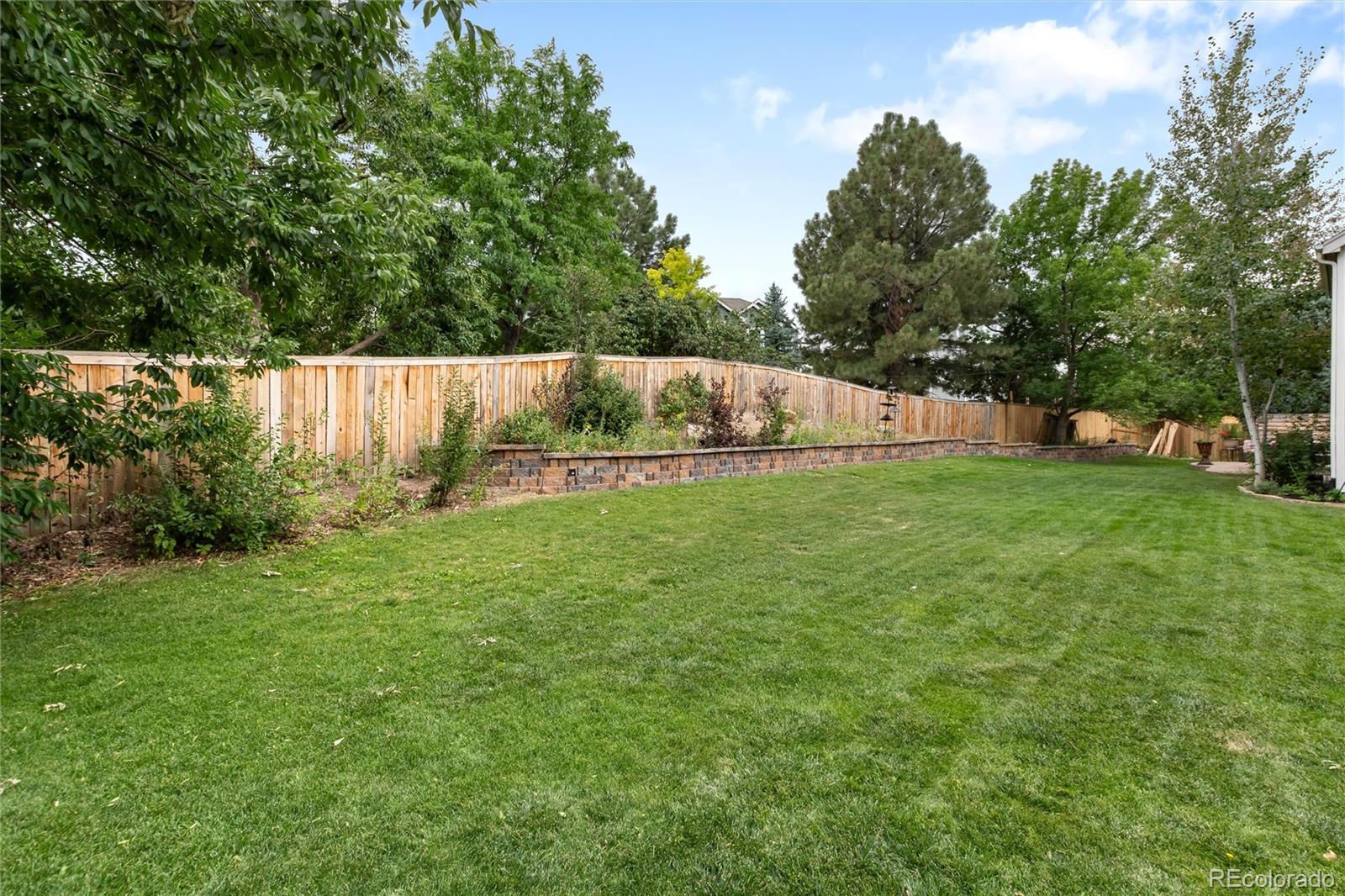 10012 Saddlehorn Lane