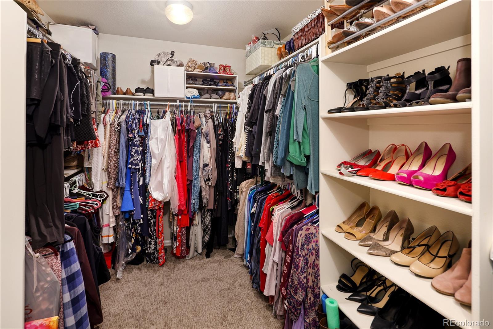 3527 Golden Spur Loop