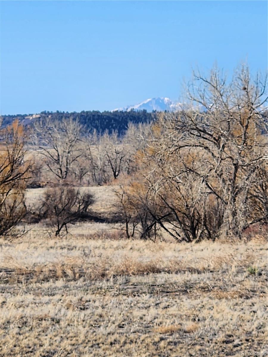 4959 Bayou Gulch Street