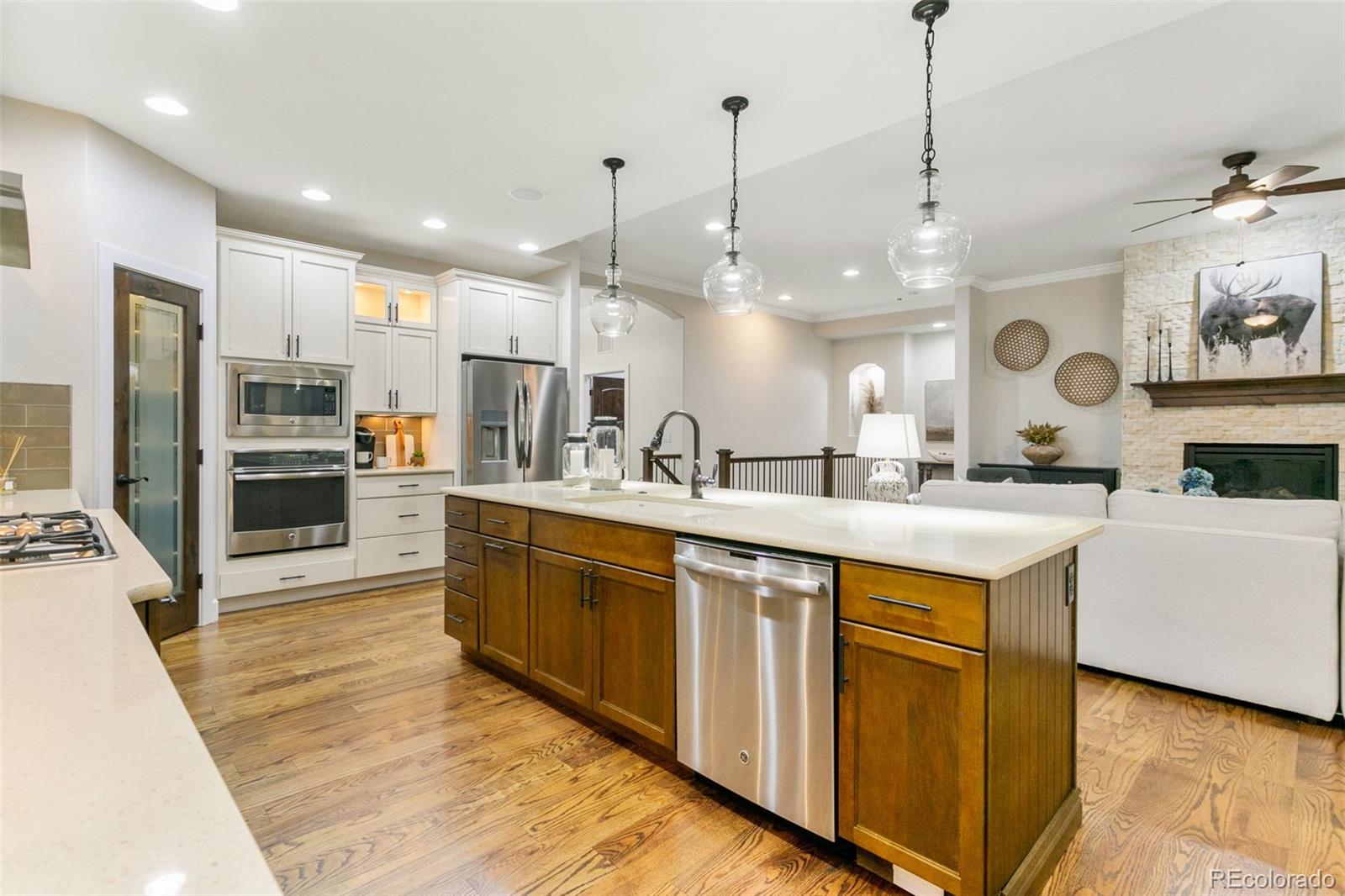 234 Coyote Willow Drive