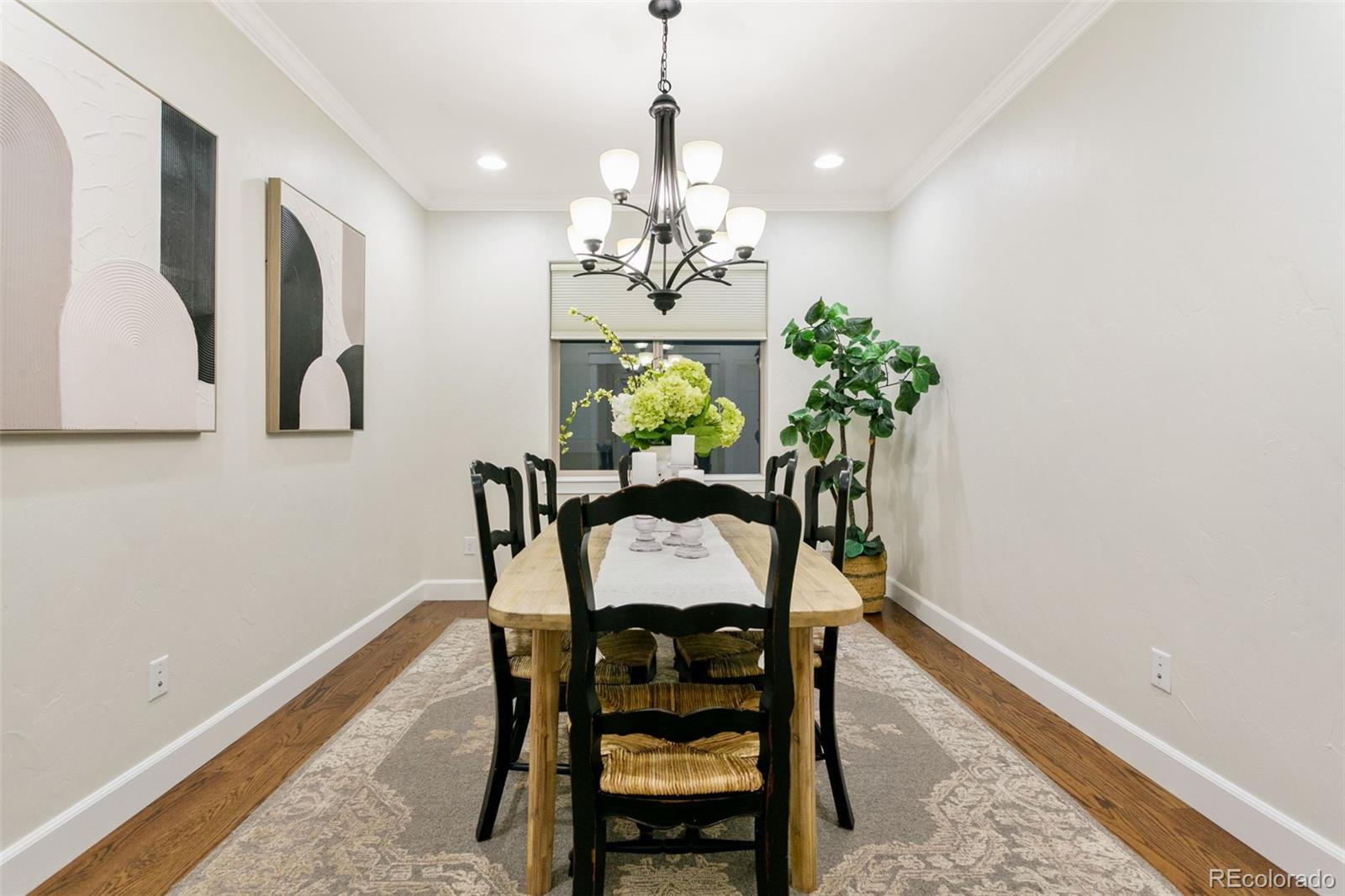 234 Coyote Willow Drive