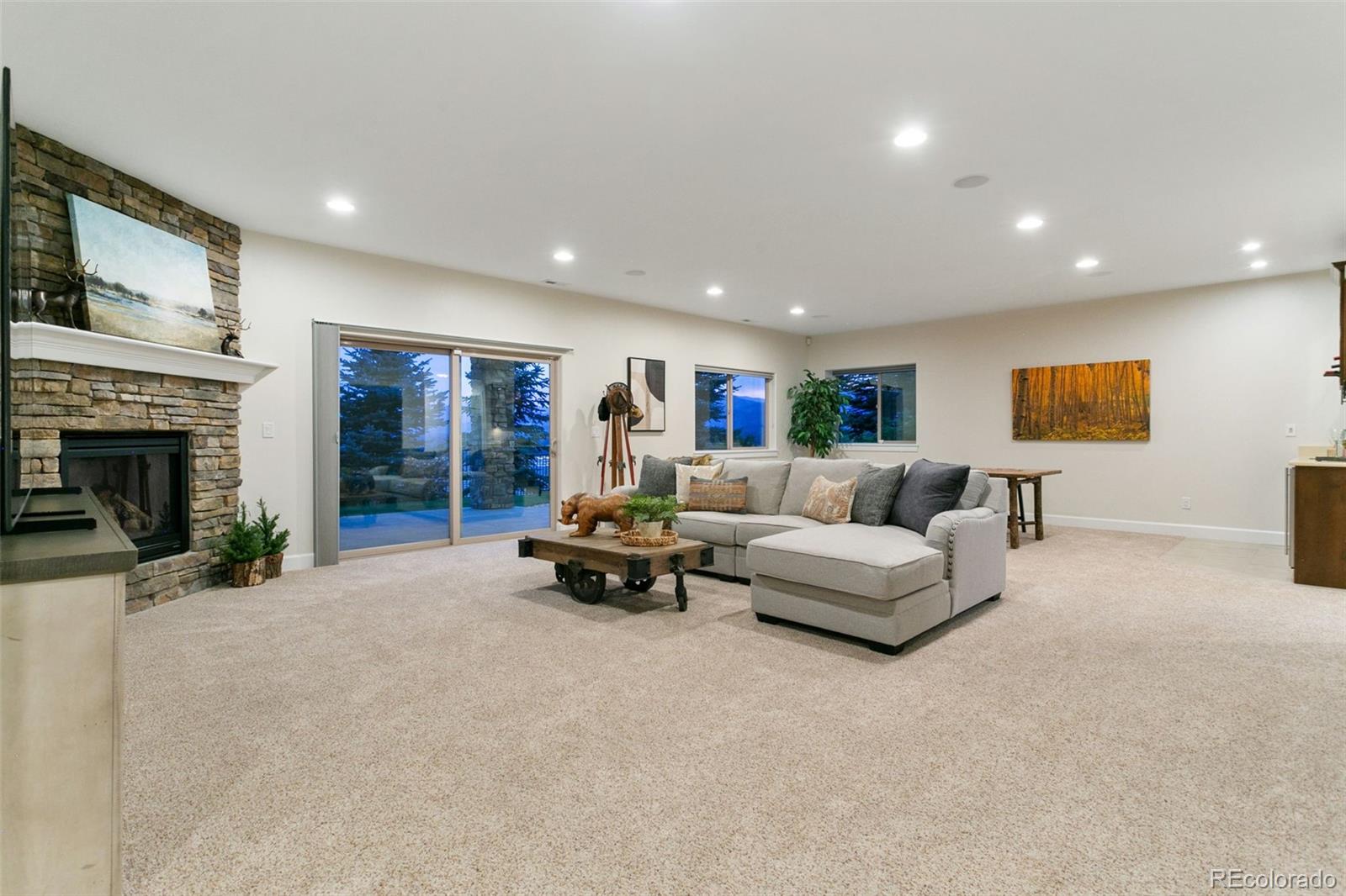 234 Coyote Willow Drive