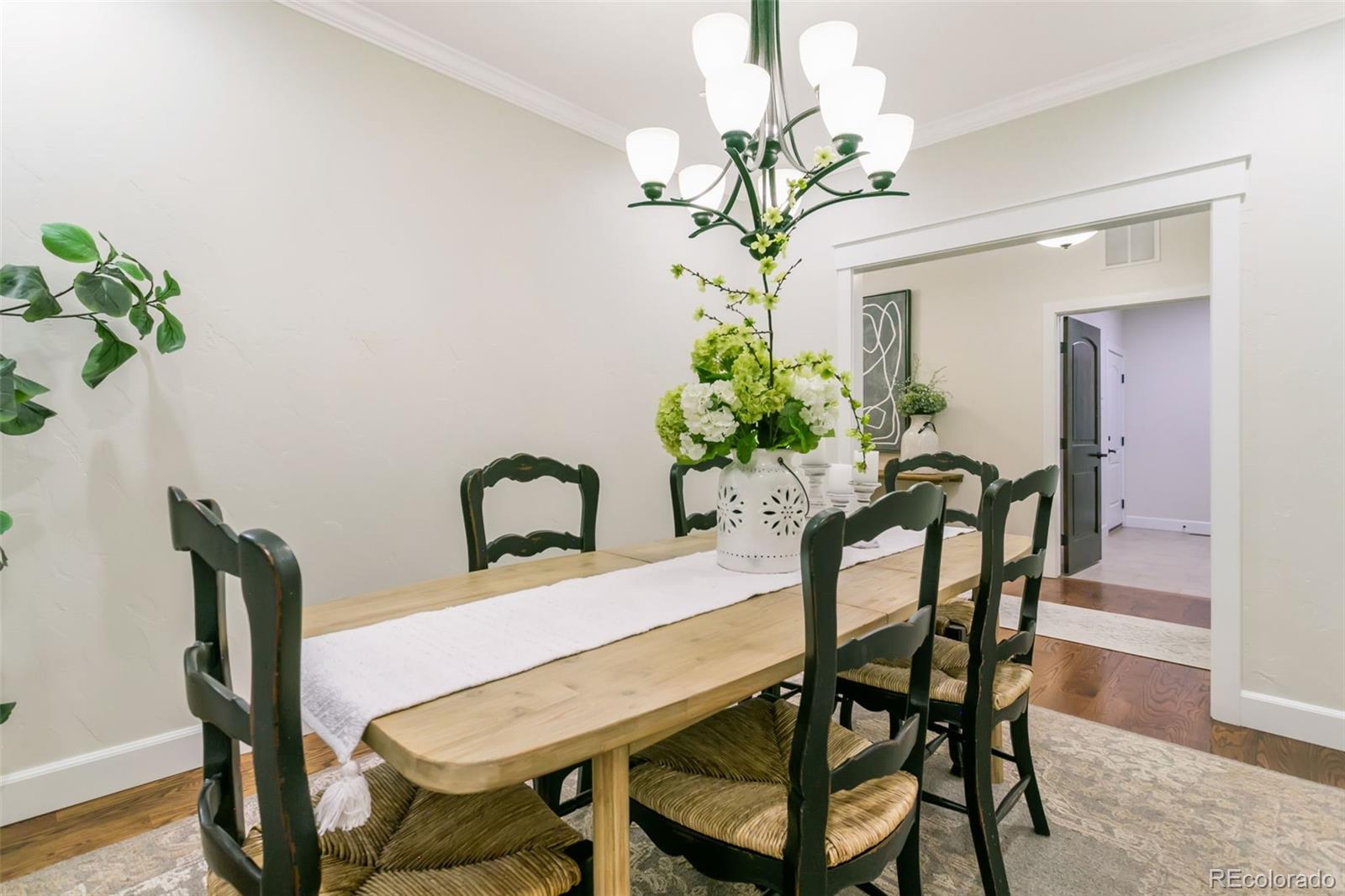 234 Coyote Willow Drive