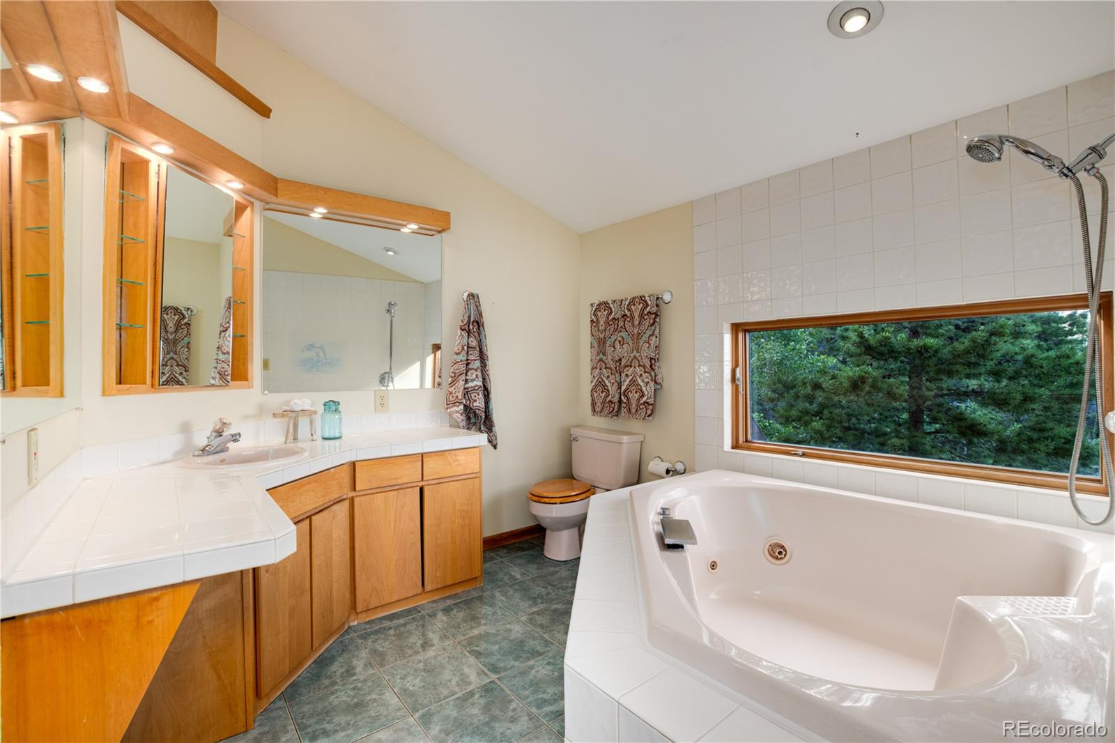 854 Divide View Drive