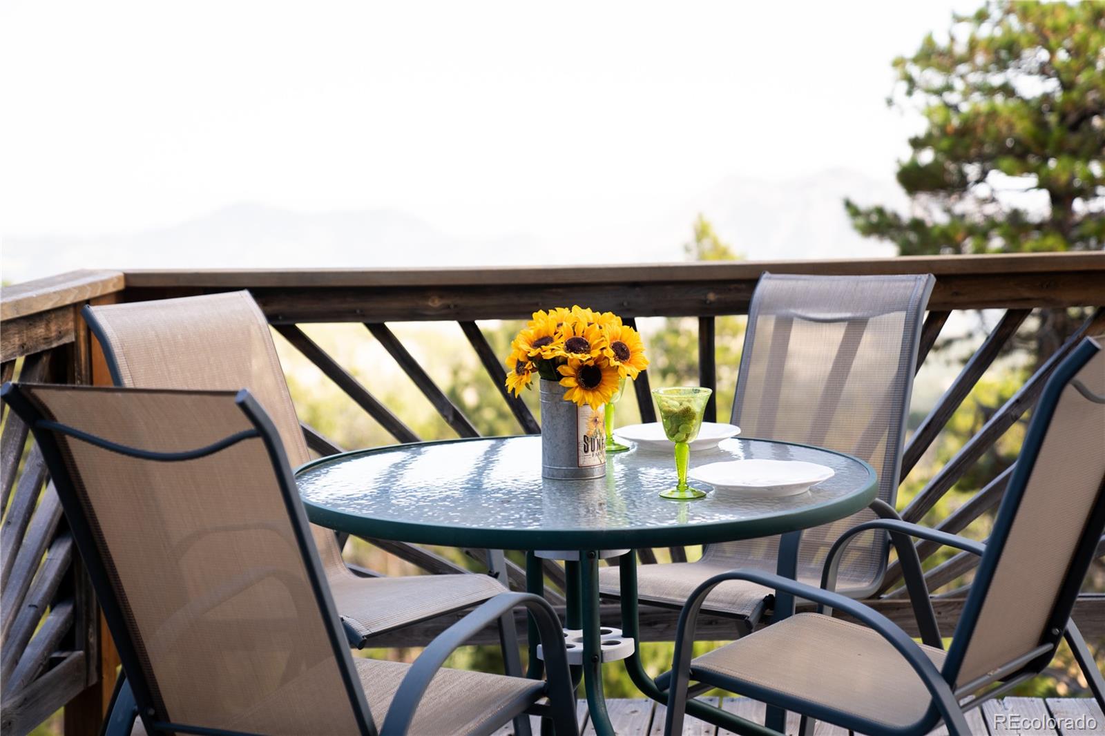 854 Divide View Drive