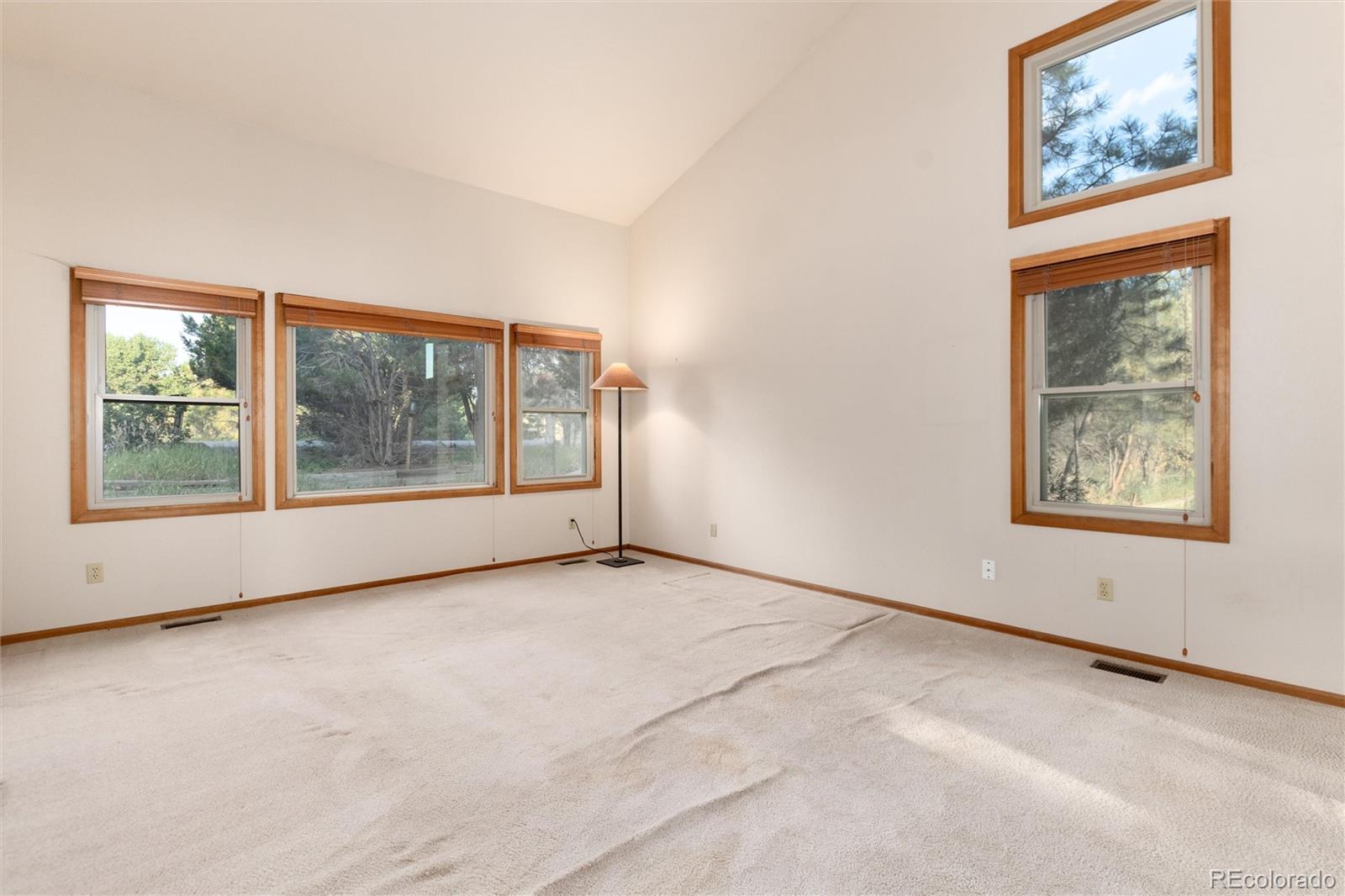 6225 Pine Hollow Drive