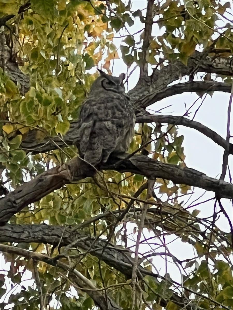 8952 Sunset Ridge Court