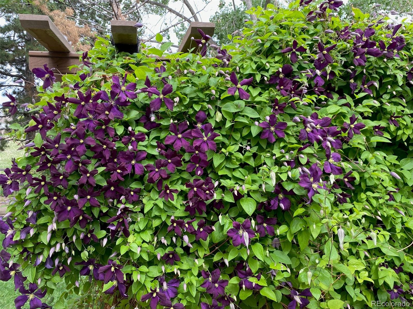 8952 Sunset Ridge Court