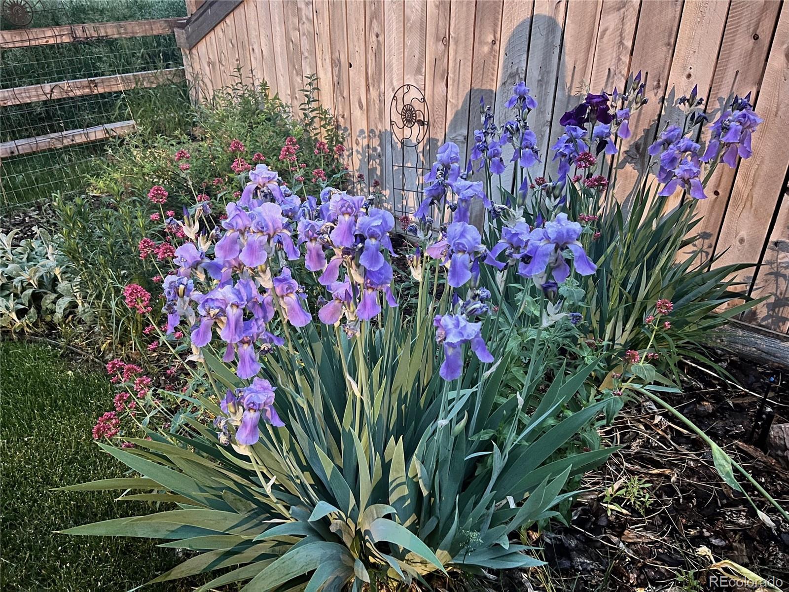 8952 Sunset Ridge Court