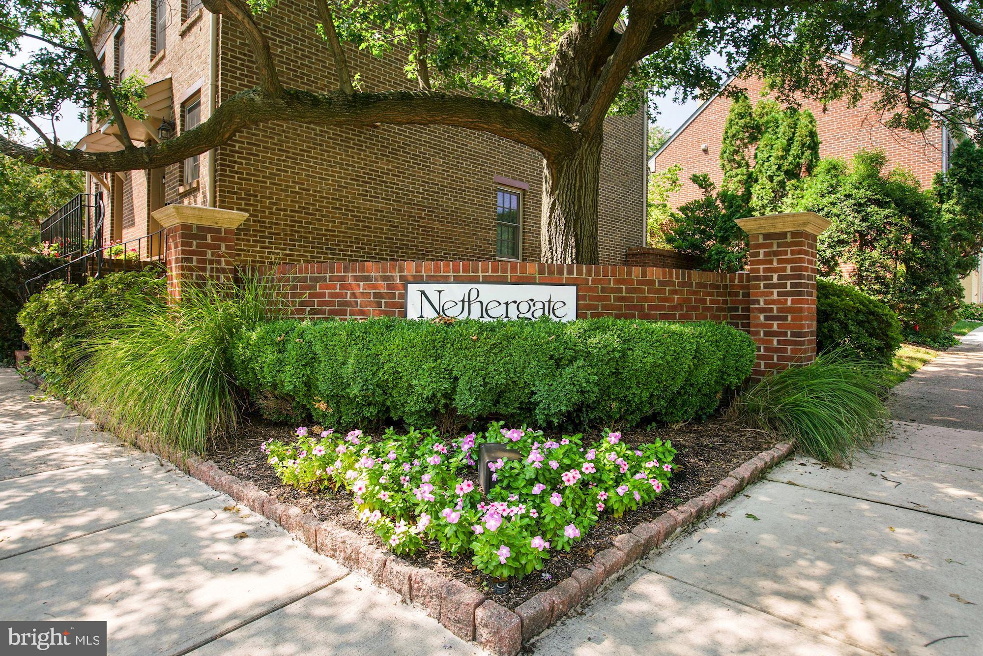 1225 MICHIGAN CT