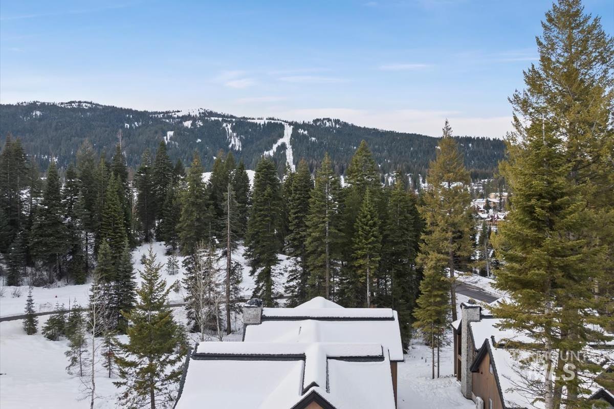 60 Ponderosa Ridge Court