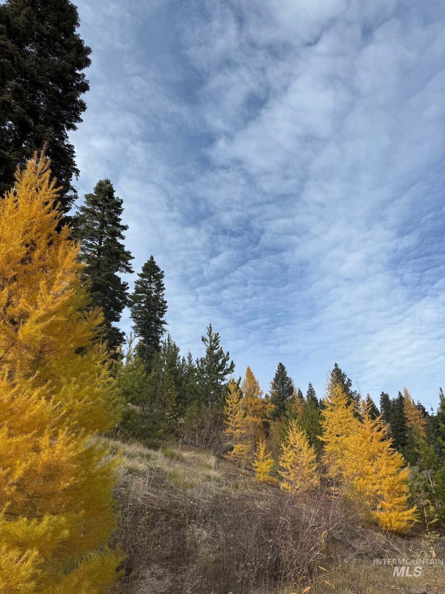 116 Golden Bar Court