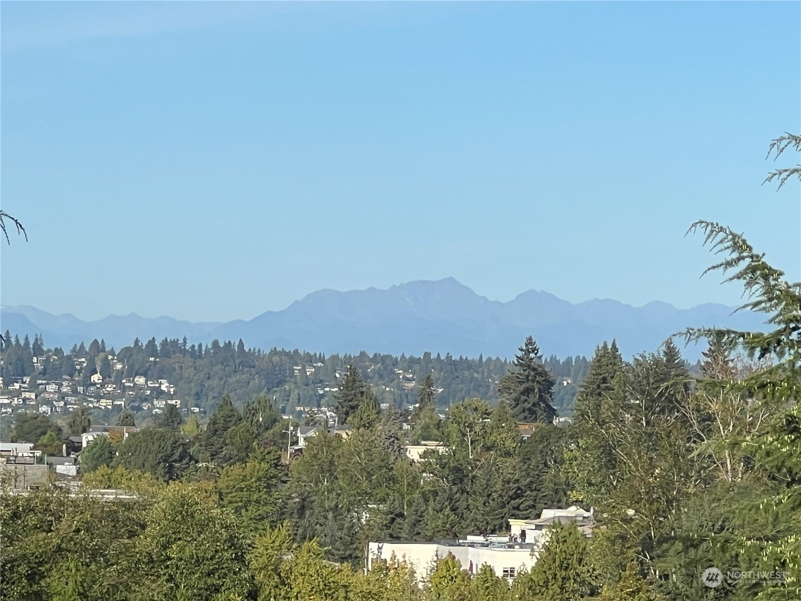406 10th Street Unit: C302