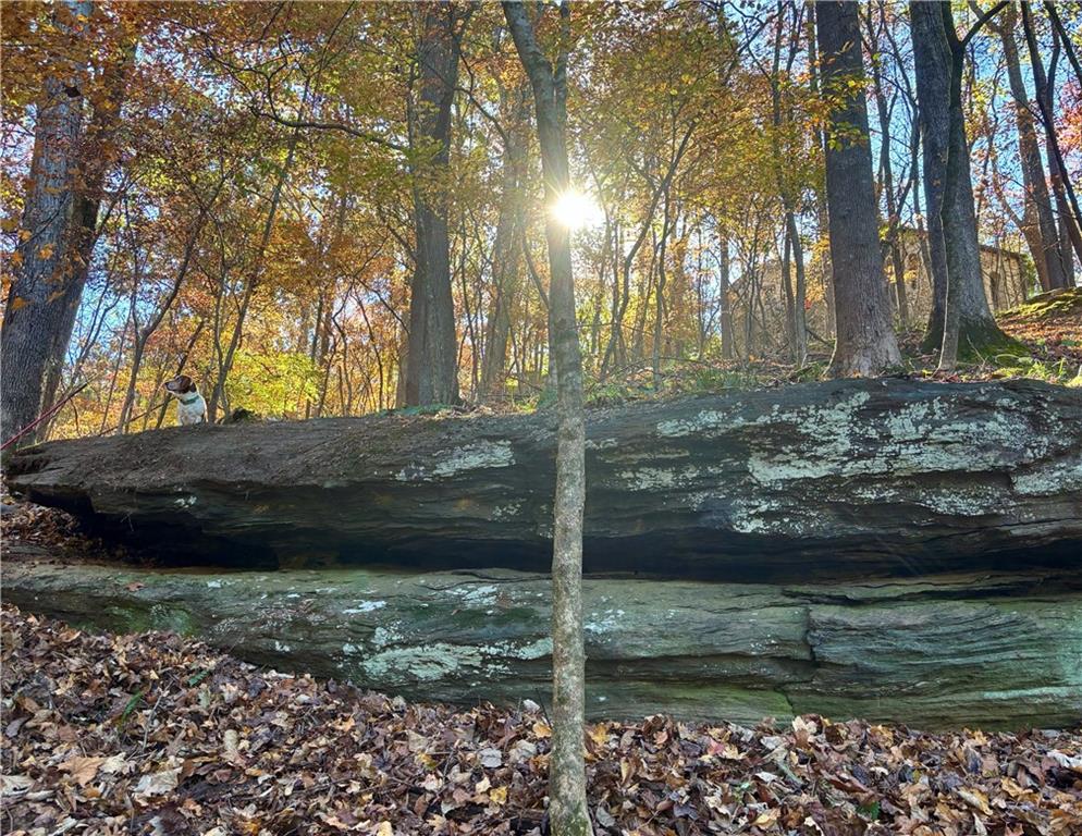 2100 West Wesley Road