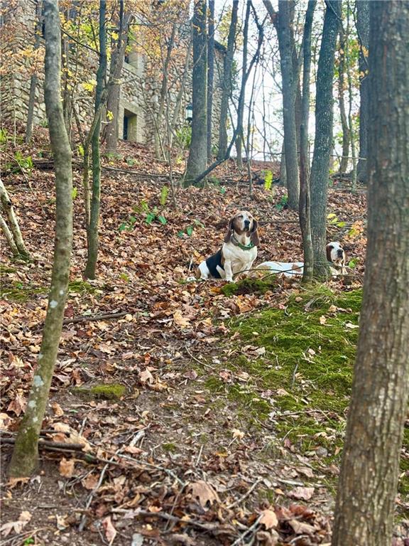 2100 West Wesley Road