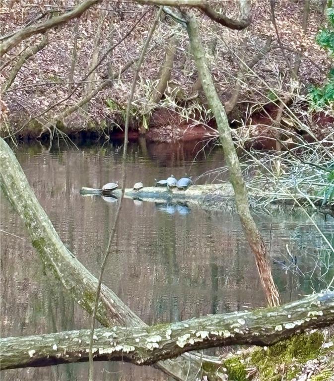 2100 West Wesley Road