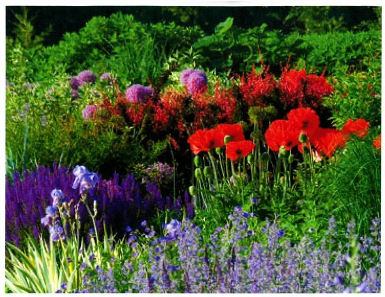 2100 West Wesley Road