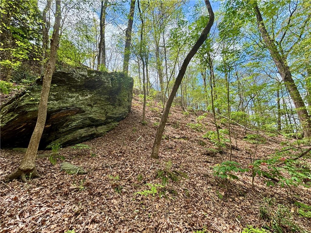 2100 West Wesley Road