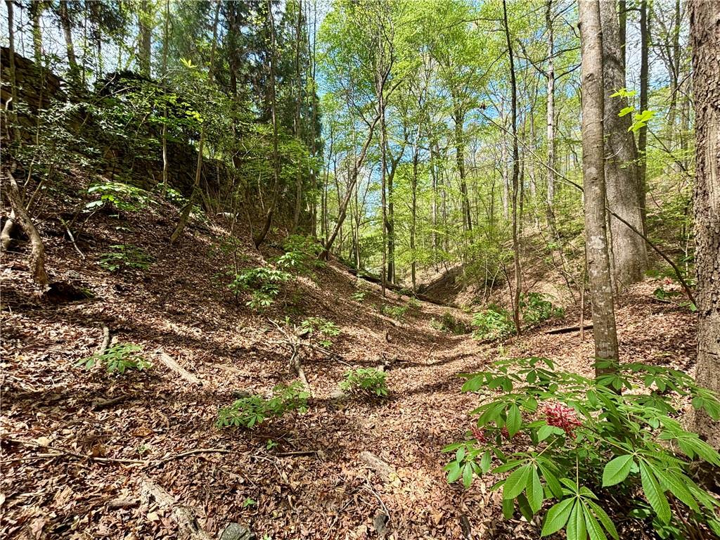 2100 West Wesley Road