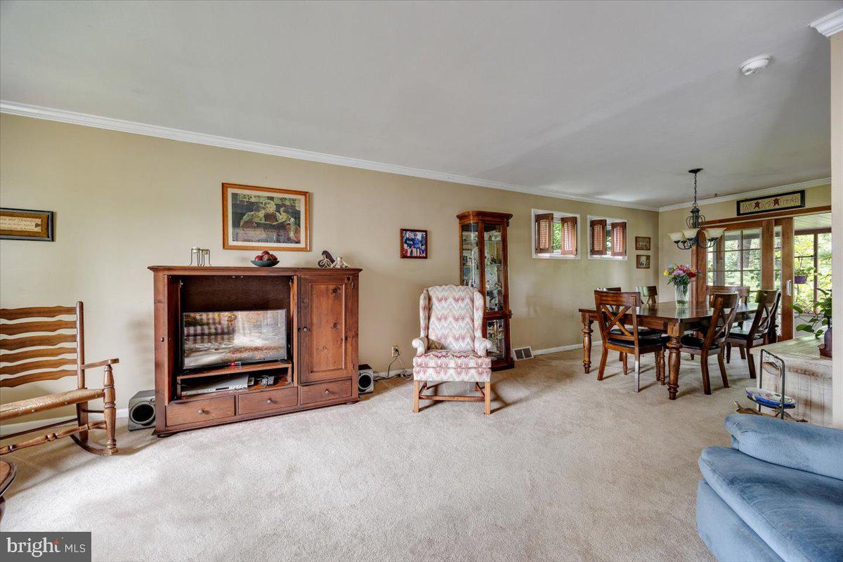 519 BANCROFT ROAD