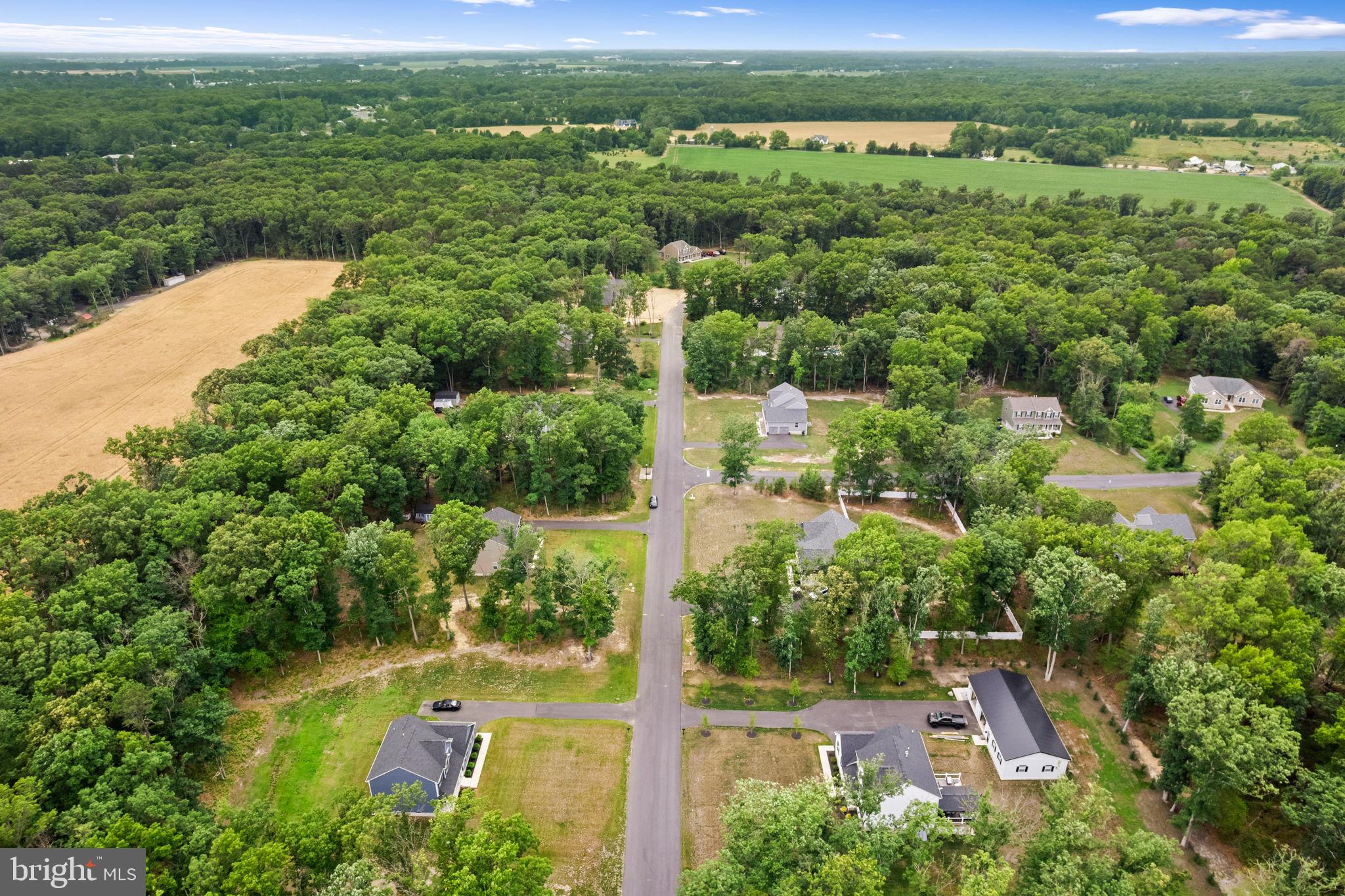 13 WHITETAIL DRIVE