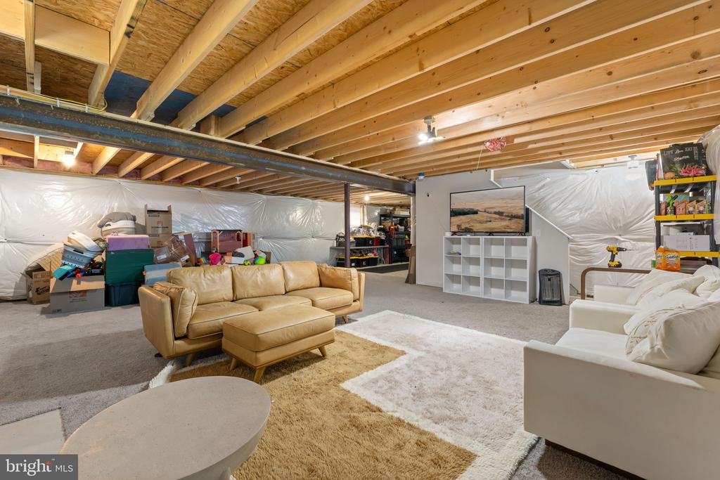 8 WHITETAIL DRIVE